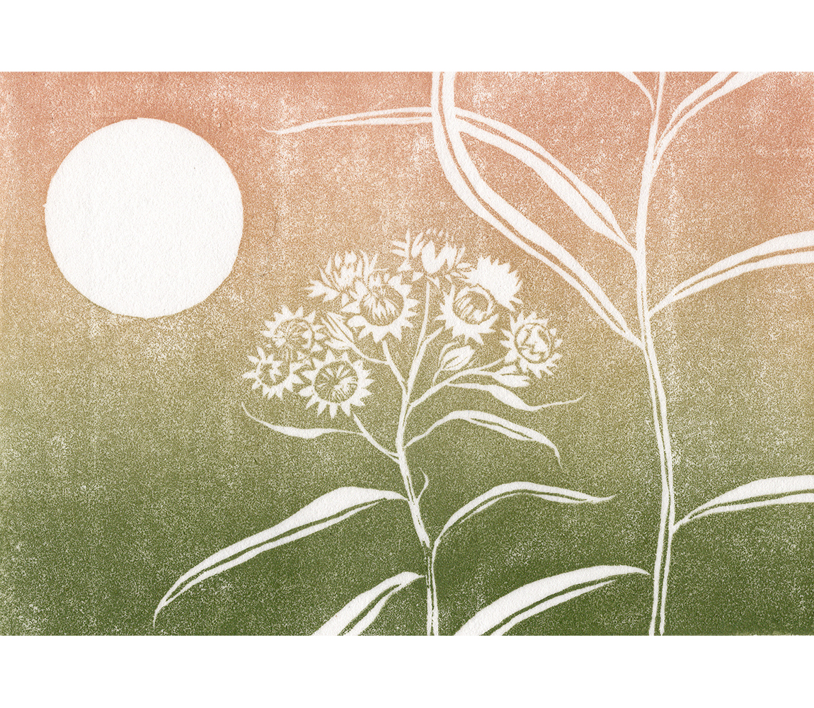 “Pearly Everlasting” - Kristen Etmund